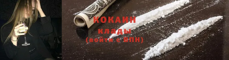 Cocaine FishScale  наркошоп  Камень-на-Оби 