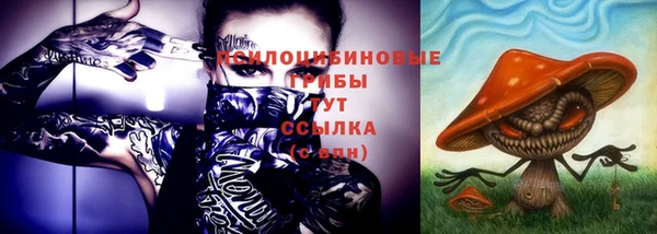 сатива Волоколамск