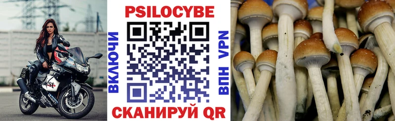 mega вход  Камень-на-Оби  Галлюциногенные грибы Cubensis  что такое  