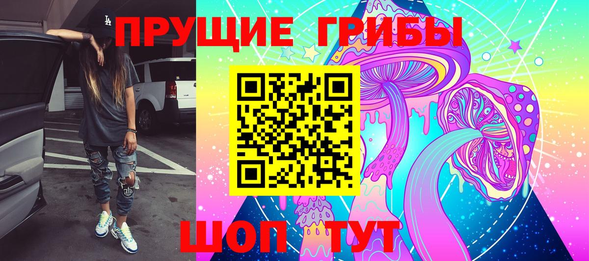 Галлюциногенные грибы Psilocybine cubensis  купить закладку  Камень-на-Оби 