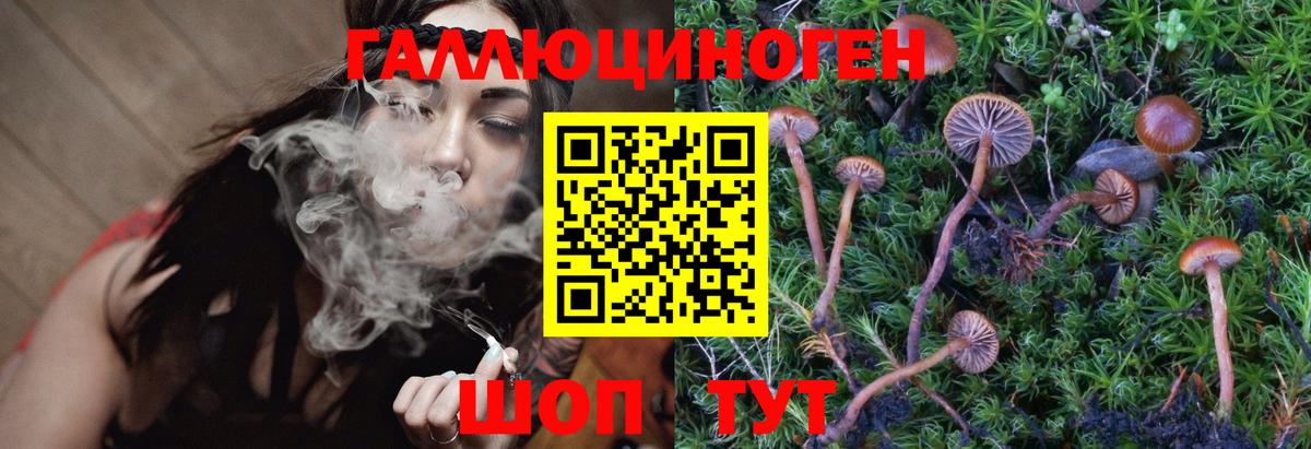 Камень-на-Оби  Псилоцибиновые грибы Magic Shrooms  Галлюциногенные грибы мицелий  Вход с VPN 